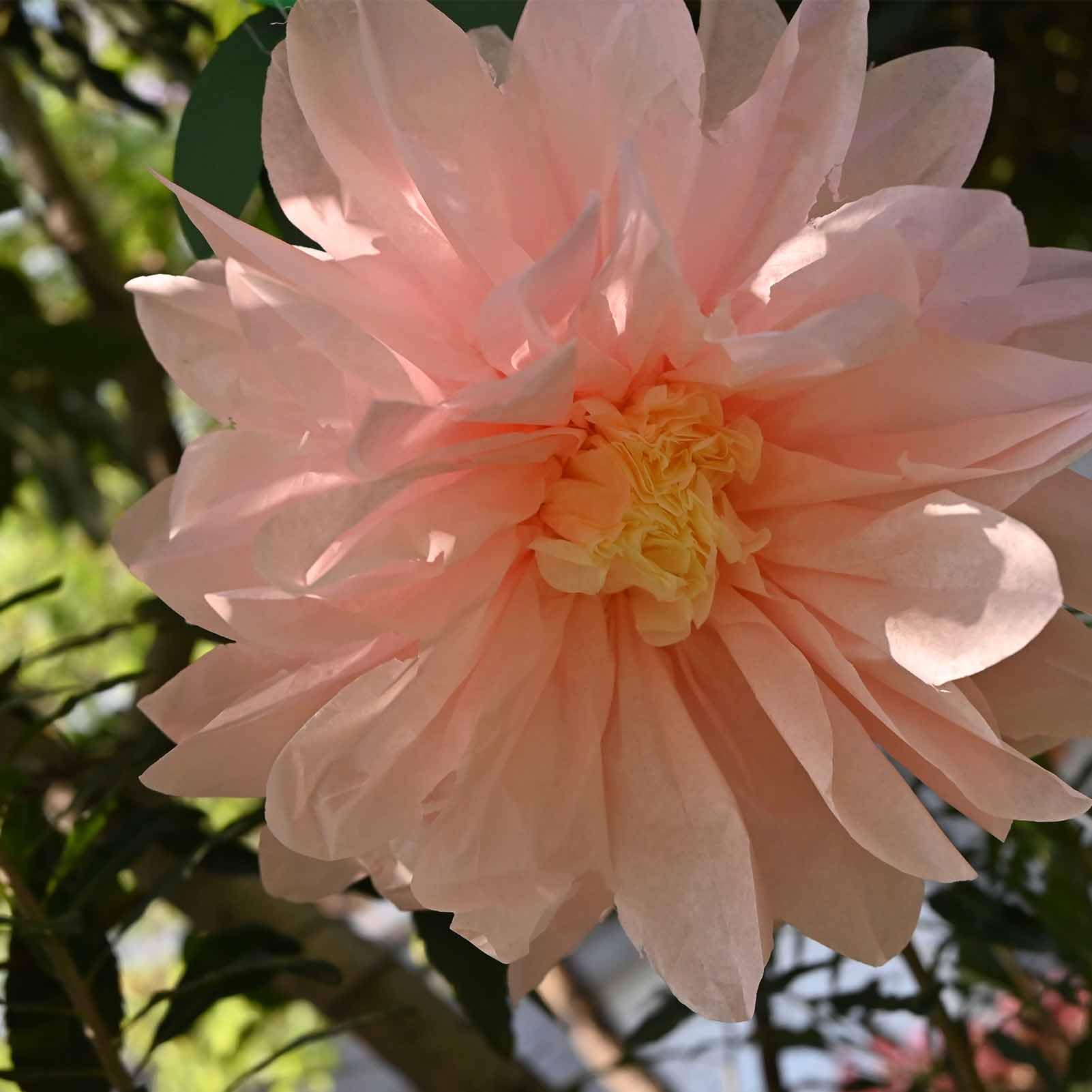 iwlorys 12Pcs Assorted Tissue Paper Pom Poms Flowers Party Decorations Kit 12" 8" Mexican Floral for Wall Wedding Baby Bridal Shower Girls Birthday Garden Tea (Purple and Pink)