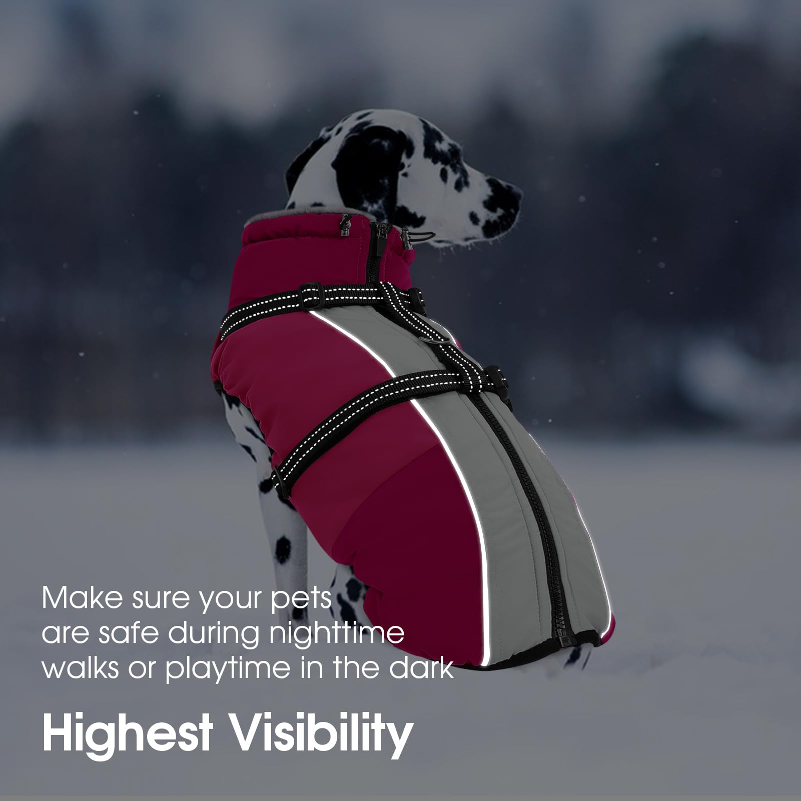 SUNFURA Chaqueta para perro pequeño con arnés integrado, chaqueta cálida para perro con cierre, chaqueta reflectante de invierno para perros pequeños, Schnauzer, Yorkshire