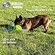 Wobble Wag Giggle Allstar Innovations Ball, Hundespielzeug, Bekannt aus dem TV
