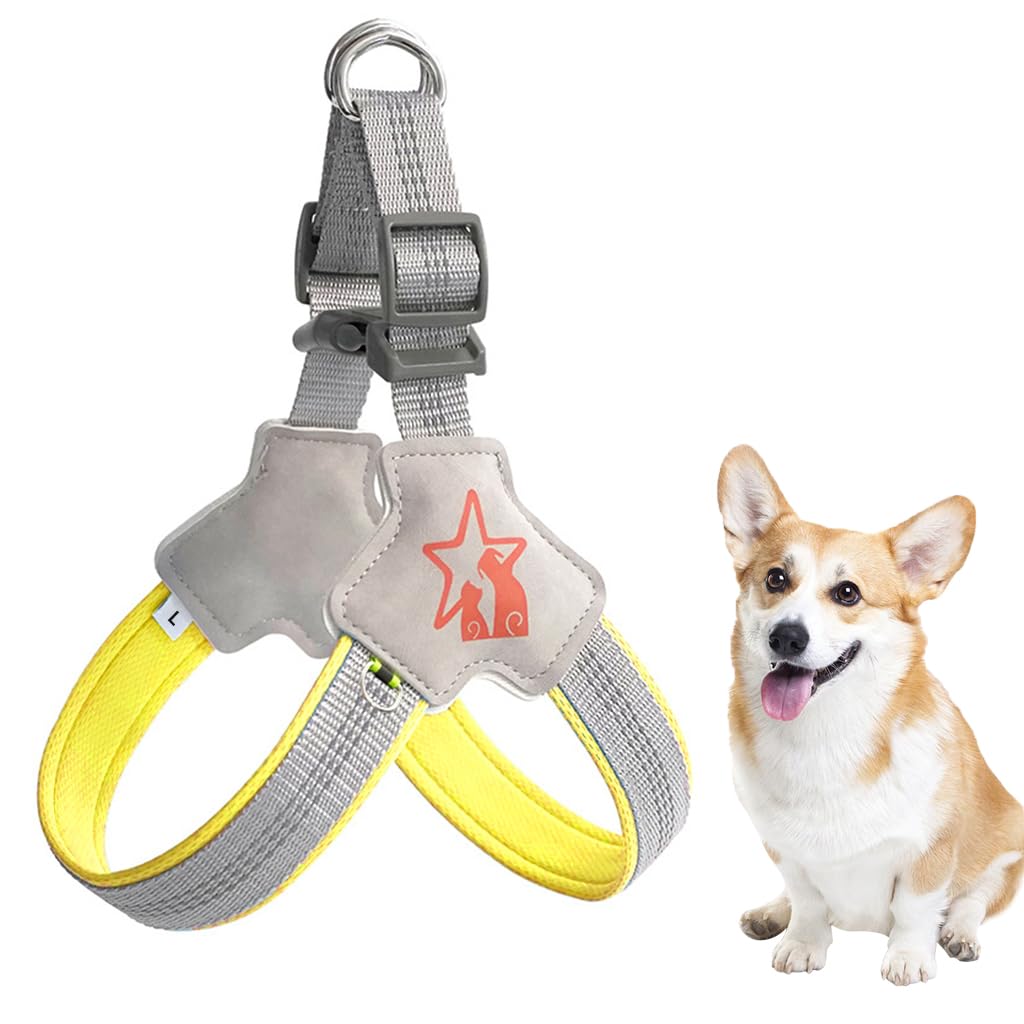 See full amazon price history chart for Qpets® Large Dog Harness, Adjustable Outdoor Pet Vest Harness, Dog Harness with Safety Reflective Strap & Fashionable Double D-Rings, Easy to Control for Large Dogs (Without Leash, Size L) Qpets® Large Dog Harness, Adjustable Outdoor Pet Vest Harness, Dog Harness with Safety Reflective Strap & Fashionable Double D-Rings, Easy to Control for Large Dogs (Without Leash, Size L) (B0CHW5HHV5) Amazon Price History, Amazon Price Tracker