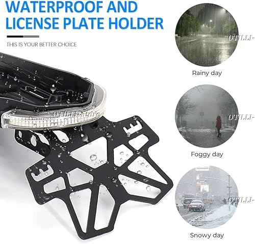 Miniatura 3 de Chaoouyue Luz indicadora de señal de giro LED para BMW R9T R nueve T RNINET R NINE T ScramblerUrbanoPure plug and play (señal de giro halógena)