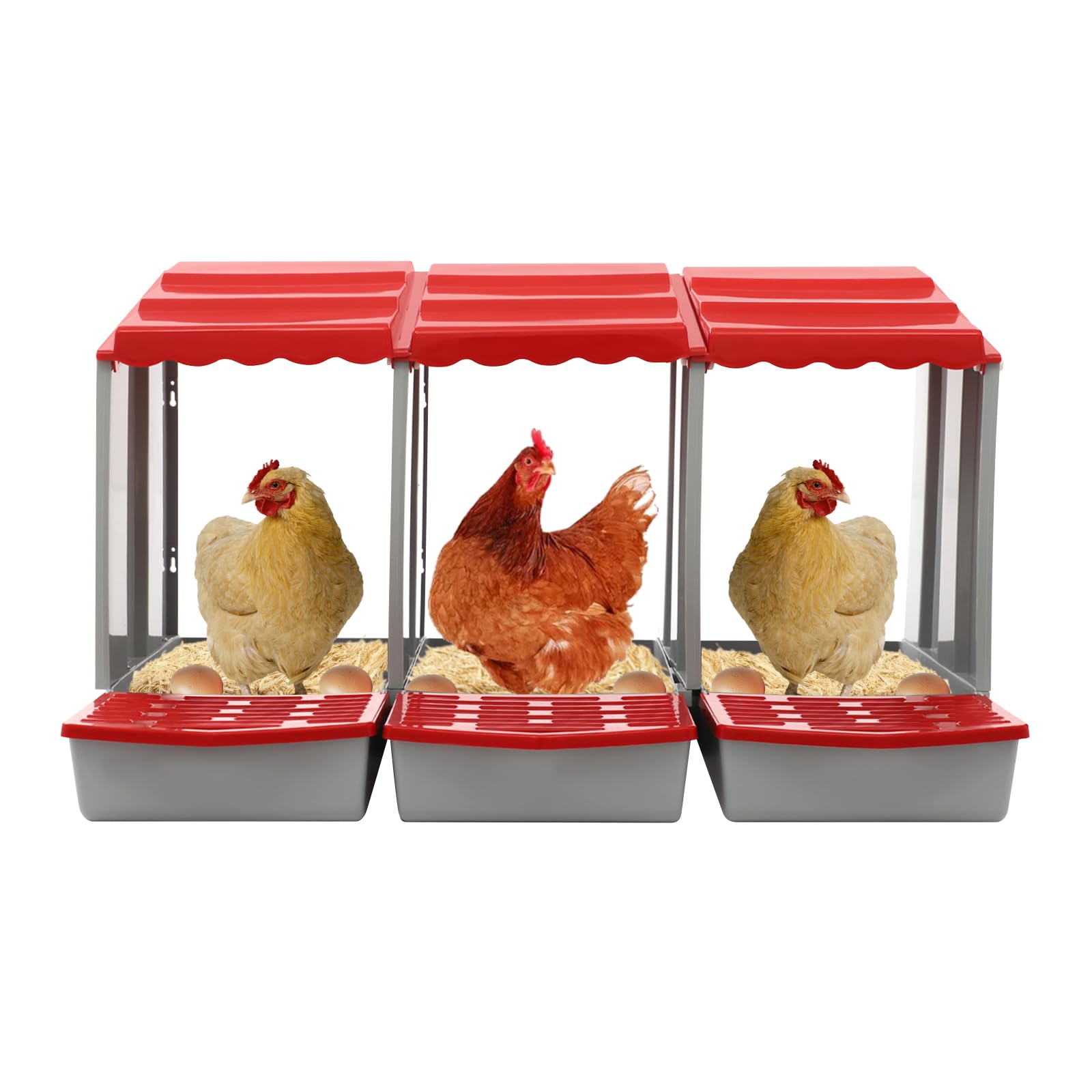 Nido per polli a 3 camere, nido per polli a parete, nido di galline in plastica con fondo inclinato, rosso