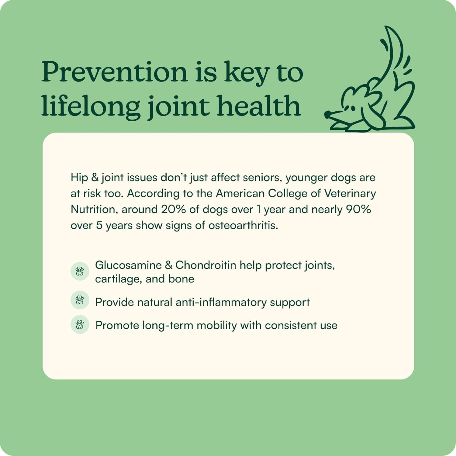 Reggie Hip & Joint Supplements for Dogs | Glucosamine, MSM & Chondroitin for Mobility, Cartilage & Pain Relief | Natural Dog Joint Support Chews | Vet-Approved & Made in USA | 60 Soft Chews