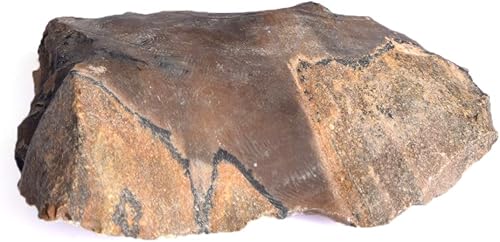 REAL-GEMS Ópalo múltiple natural sin calentar, 336.50 quilates, ópalo sin cortar con certificado Egl, piedra preciosa suelta de ópalo curativo en