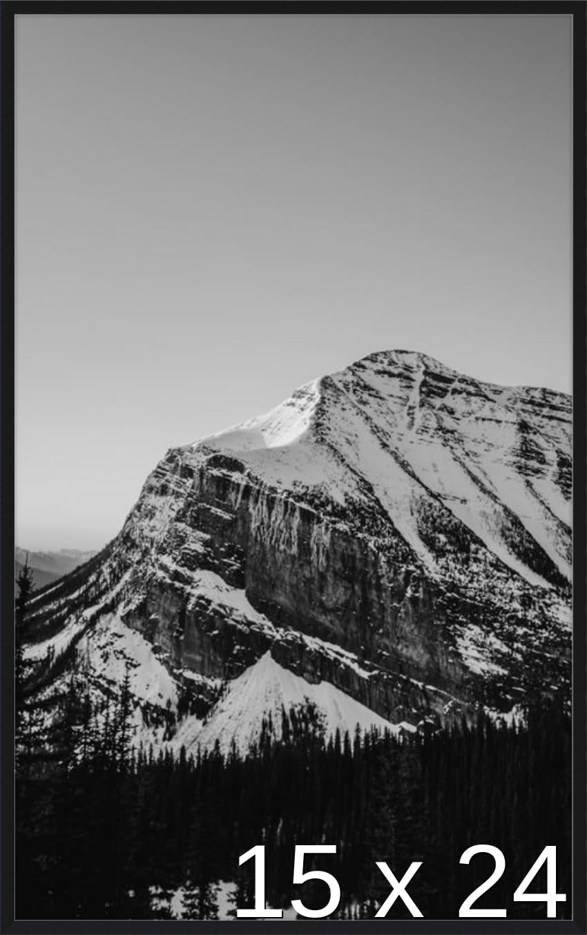 Frame It Easy 15 1/2 x 24 Satin Black Metal Frame (Ashford) 15.5x24 inches