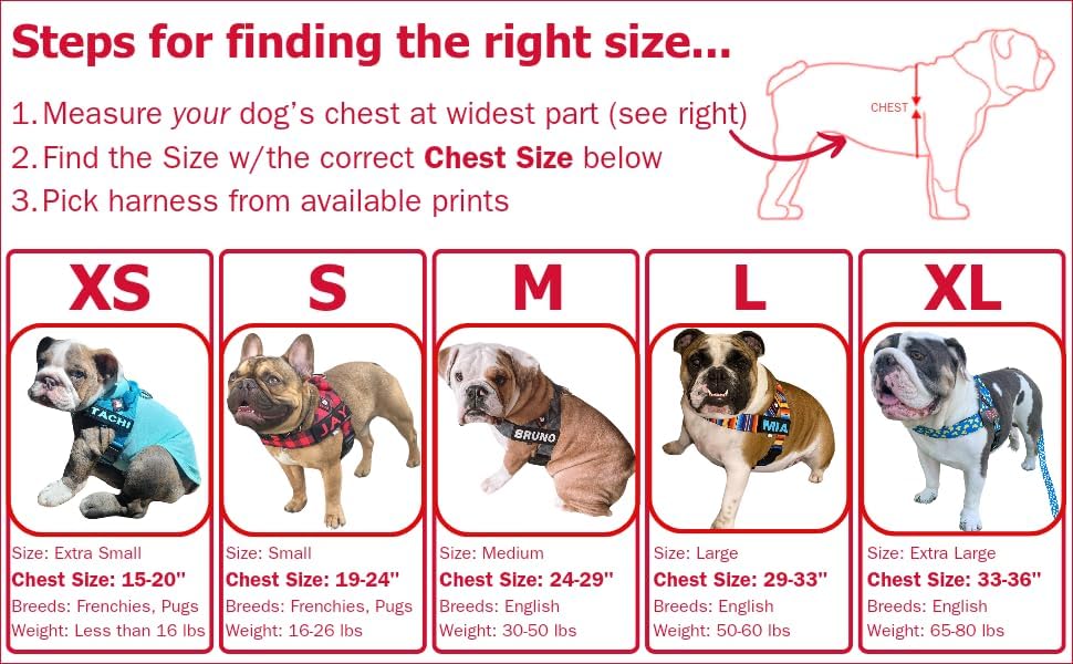 Miniatura 2 de BULLHUG Arnés  Hecho para perros de pecho más grande como bulldogs ingleses, bulldogs franceses, pugs y más. Evita que los perros tiren y se