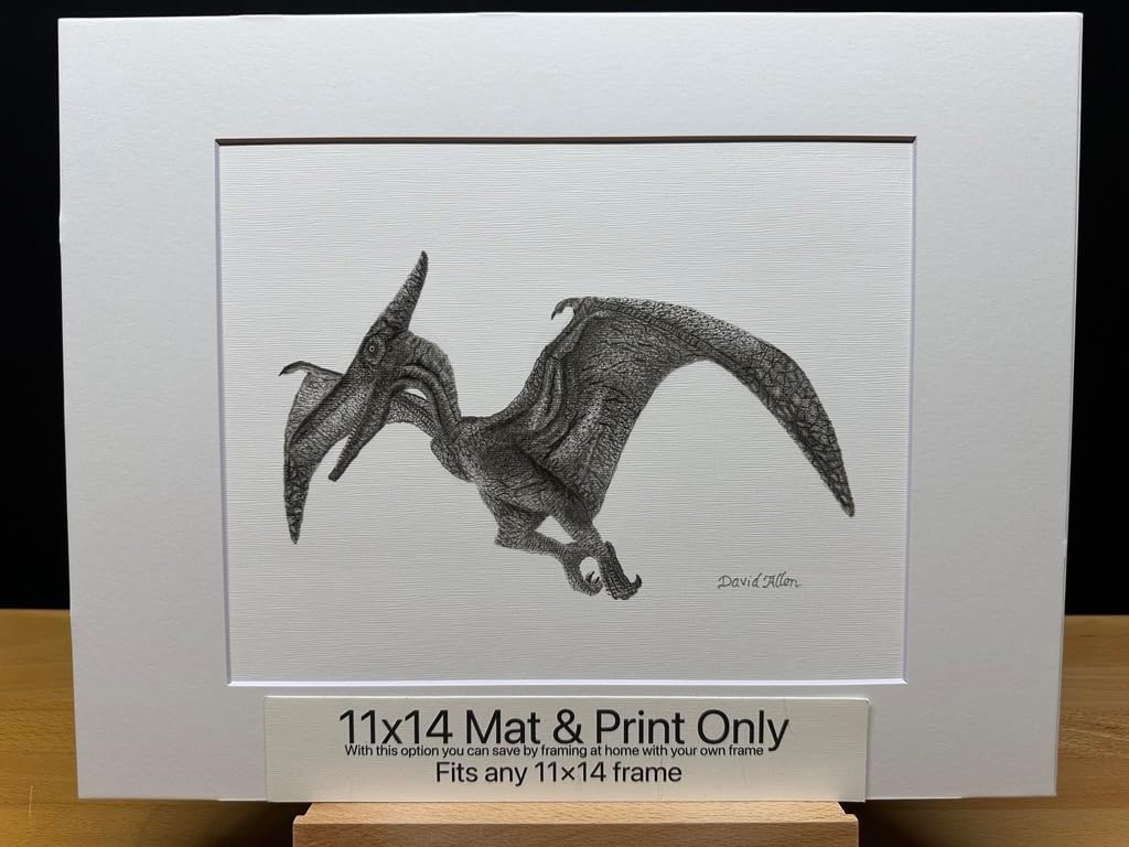 Hand Drawn Pterodactyl Dinosaur Bird Graphite Pencil Art Sketch Drawing Print Picture Limited Edition ~ Titled 'Winged Giant' by David Allen (11x14 Mat & Print Only)