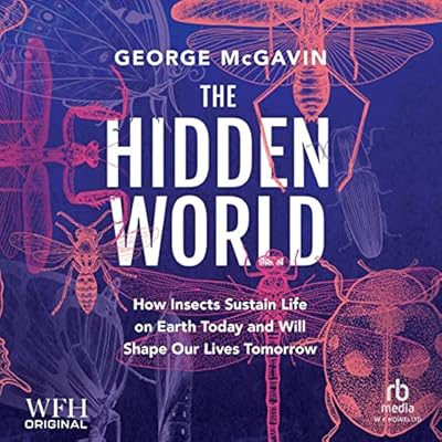 The Hidden World