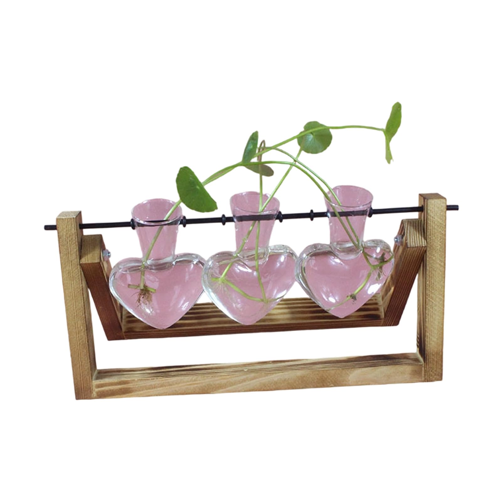 Shaped Glass Vase with Wooden Stand for Hydroponics Plant and Home Decor Hydroponic Planter Vase
