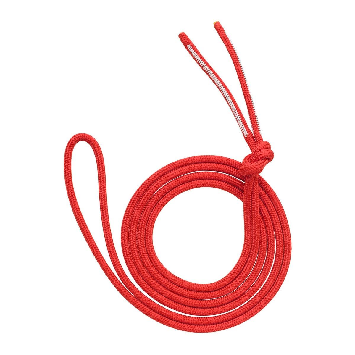 AUSTRIALPIN DYNA.MIT Reepschnur mit OVALO Karabiner - Mischgewebeschlingen, Länge:290cm;Farbe:rot