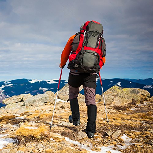 Tick Gaiters Buy Online in United Arab Emirates at Desertcart 5358343.