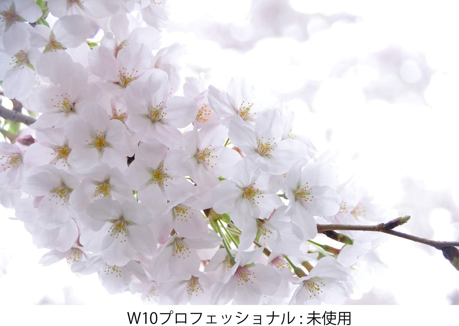 Kenko 77mm W10 Professional Multi-Coated Camera Lens Filters