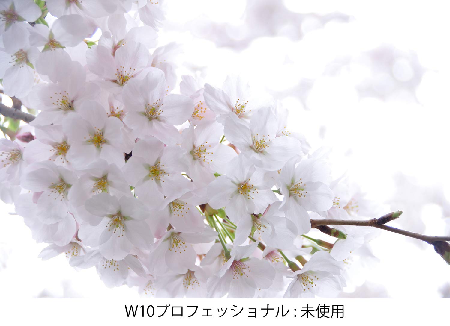 Amazon.co.jp: Kenko レンズフィルター MC W10