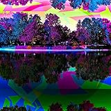 Wbv