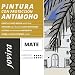 PINTURA ANTIMOHO, evita el moho, resistente a la aparición de moho en...