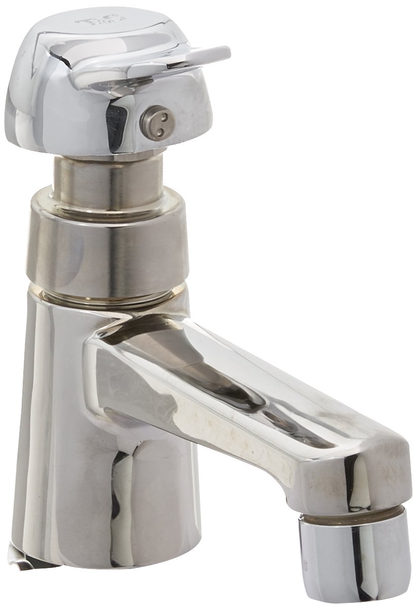Robinet de mesure T&S B-2490-PA sous comptoir avec clapet anti-retour intégré