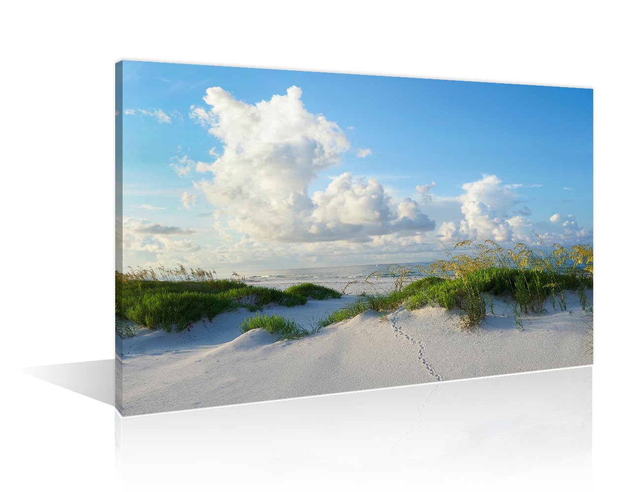 Pristine Florida White Sand Beach Wall Art Large Beach Natural Landscape Pictures Print on Canvas Blue Ocean Scenery Modern Home Decor Framed for Office Ready to Hang 24" Wx36 H