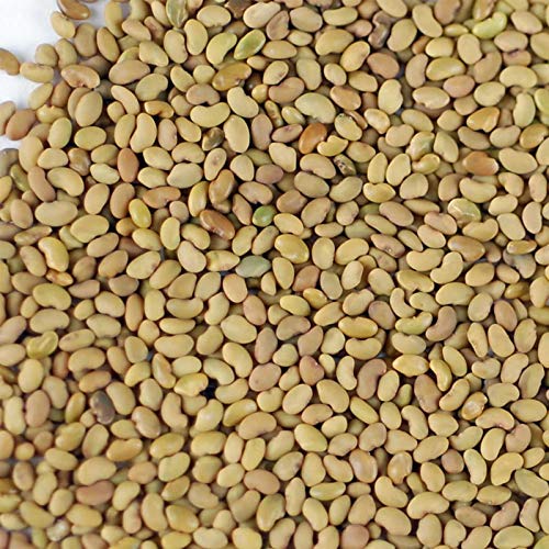 Certified Organic Alfalfa Sprouting Seed - 4 Oz - Handy Pantry Brand - High Sprout Germination- Edible Seeds, Gardening, Hydroponics, Growing Salad Sprouts, Planting, Food Storage & More #TOP2