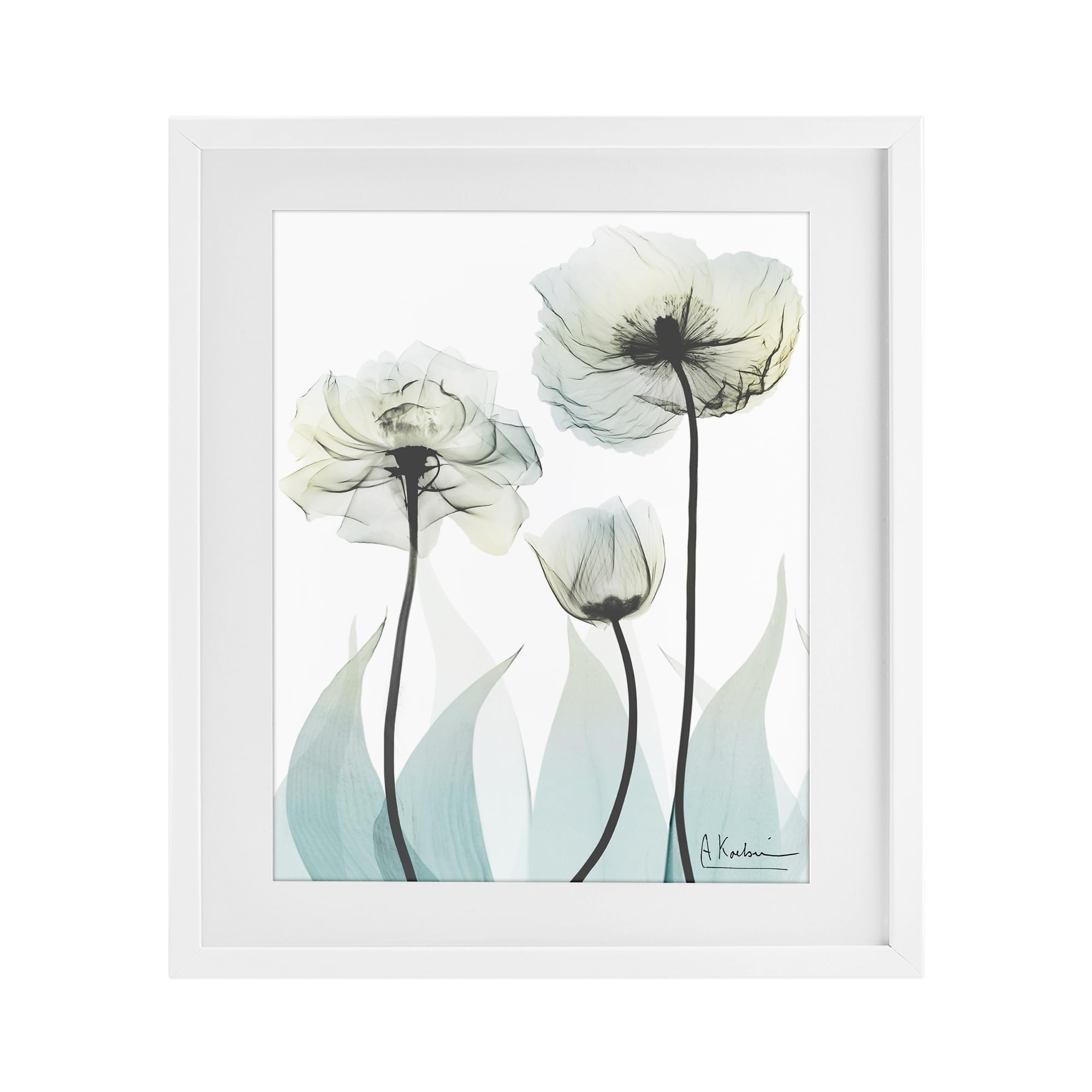 'Luxury Of Creation'| Framed Print Under Glass