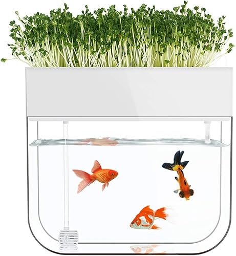 アクアポニック水槽、水耕栽培システム、有機セルフ給水プランター、アクアポニックス小型水槽、ウォーターハーブガーデン