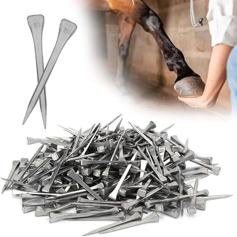 Horseshoe Nails Steel Set, Multi Size E2 E3 E4 E5 E6 E7 E8 Specification: 100 Pcs Configuration - Forged Hoof Nail Structure | Farrier Shoeing | Harness Repair and Riding Supply Use (100Pcs E8 60.5mm)