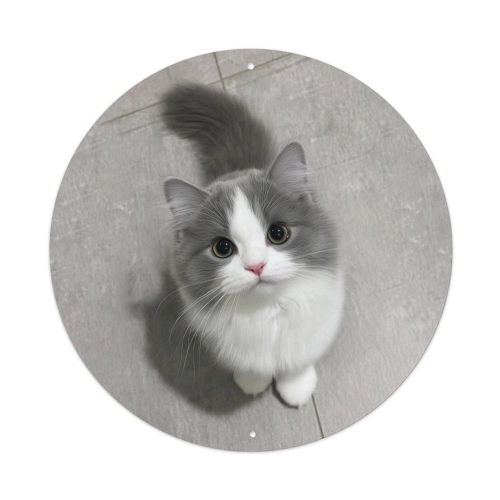 Cwbufd Vintage Style Animal Munchkin Kitten Adorable Green-Eyed Long-Haired Cat Vintage Metal Tin Sign Plaque Wall Decor For Cafe, Club Bar, Office, Garden Metal Poster 8X8inch