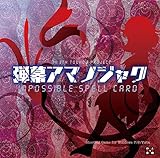 弾幕アマノジャク ～Impossible Spell Card.