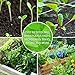 YoleShy 10 Pack Seed Starter Tray Reusable Plastic Plant Seedling Starter Trays Thickened Sturdy Durable for Germination Growing Microgreens Planting Propagation, Without Drain Holes, 14.5