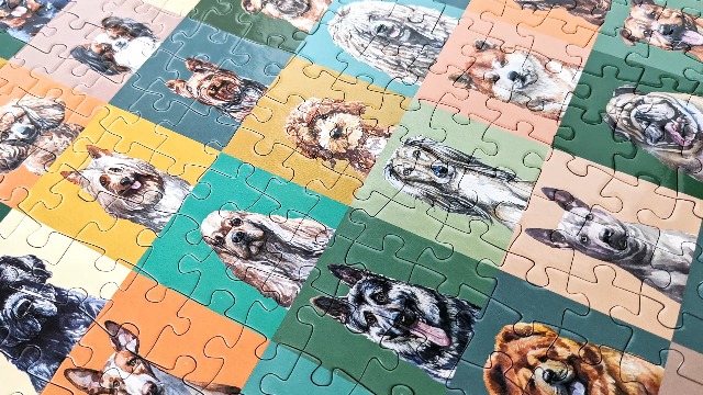 Dog Collage 500 pieces Puzzle Crush on Amazon Live