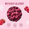 Freeze Dried Raspberry Whole 100g - 100% Natural Freeze Dried Fruits - Dry Raspberries Perfect for Baking, Cake Decorations, Keto Snack, Cocktail Garnish - Dehydrated Berries for Drinks or Snacking