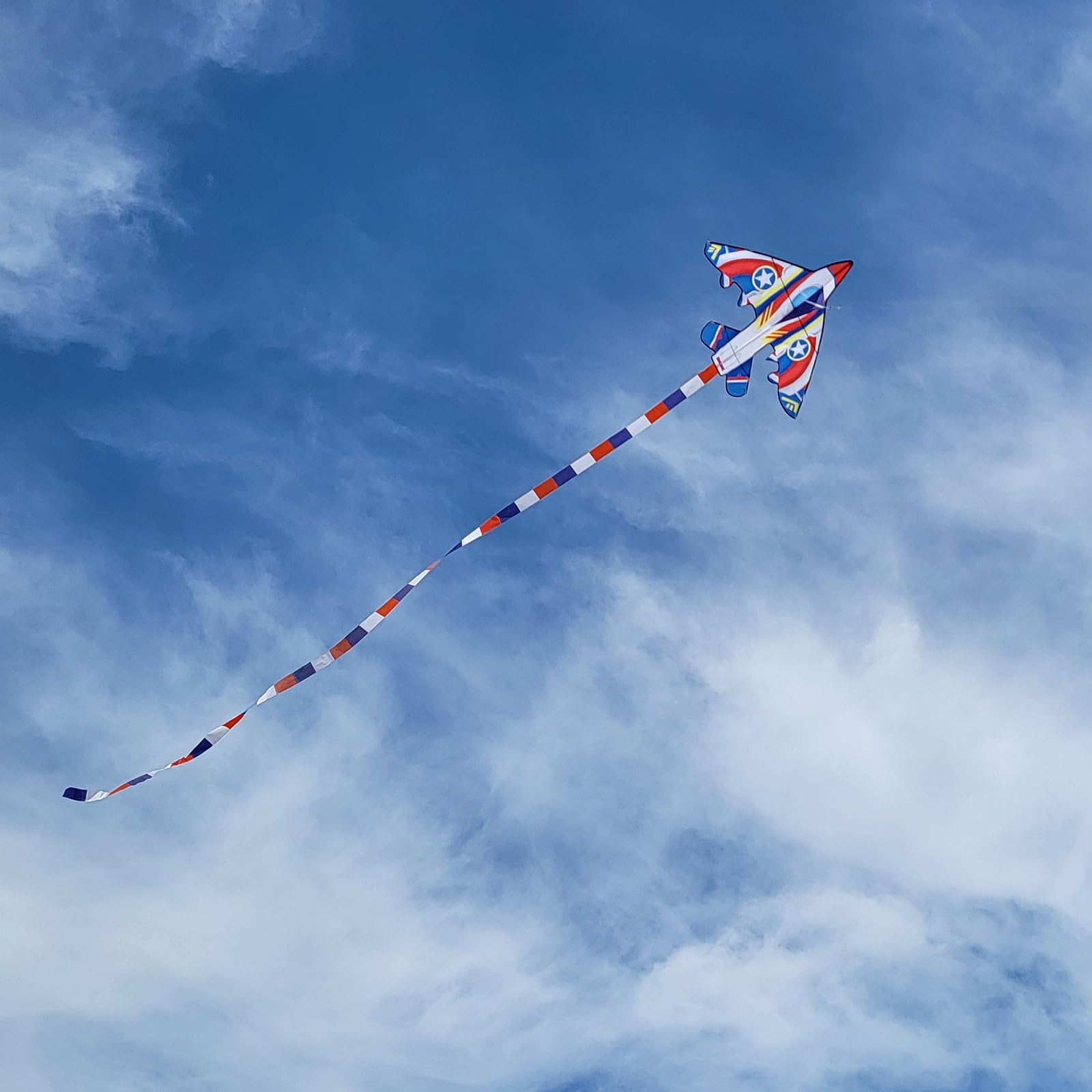 Flying Hoofer Drago da combattimento per ragazzi facile da volare, grande aquilone per bambini e bambini piccoli, single line telone per la spiaggia, viene fornito con manico drago da 300 m