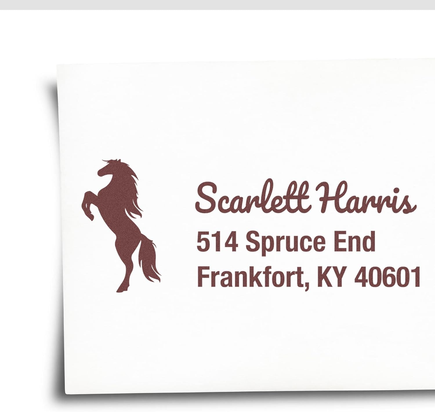 Customized Name and Address Stamper, Self-Inking Horse Stamp - Ideal for Veterinarians, Personalized Fiery Blaze Design - Durable, Easy to Use - Perfect for Professional or Home Use