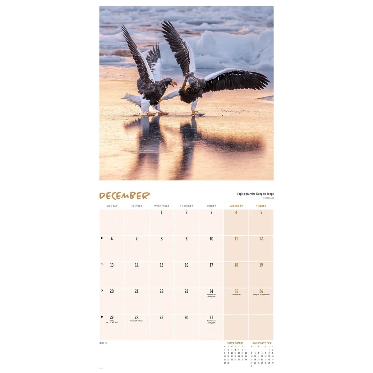 Carousel Worldwide Comedy Wildlife Photography Awards 2027 kwadratowy kalendarz ścienny, kalendarz na 12 miesięcy, zabawne, nagradzane obrazy dzikiej przyrody