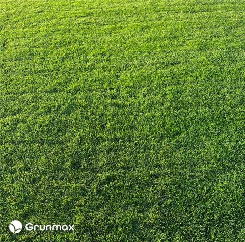 GREEN EXPERT, engrais de printemps pour gazon et pelouse, PREMIUM