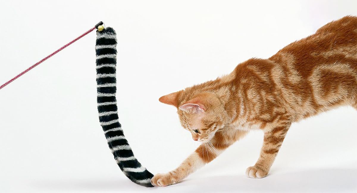 Amazon.co.jp: 【猫用じゃらし しましま＆もふもふ尻尾が楽しい