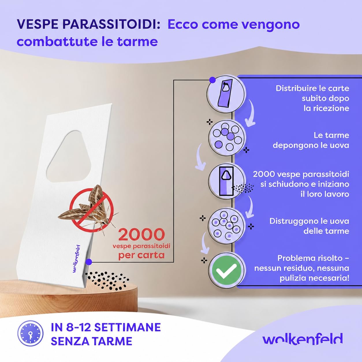 Wolkenfeld Vespe parassitoidi Contro Le tarme Alimentari – 10 Carte – Lotta Efficace e priva di Sostanze chimiche Contro Le tarme – Alternativa Naturale a trappole per tarme
