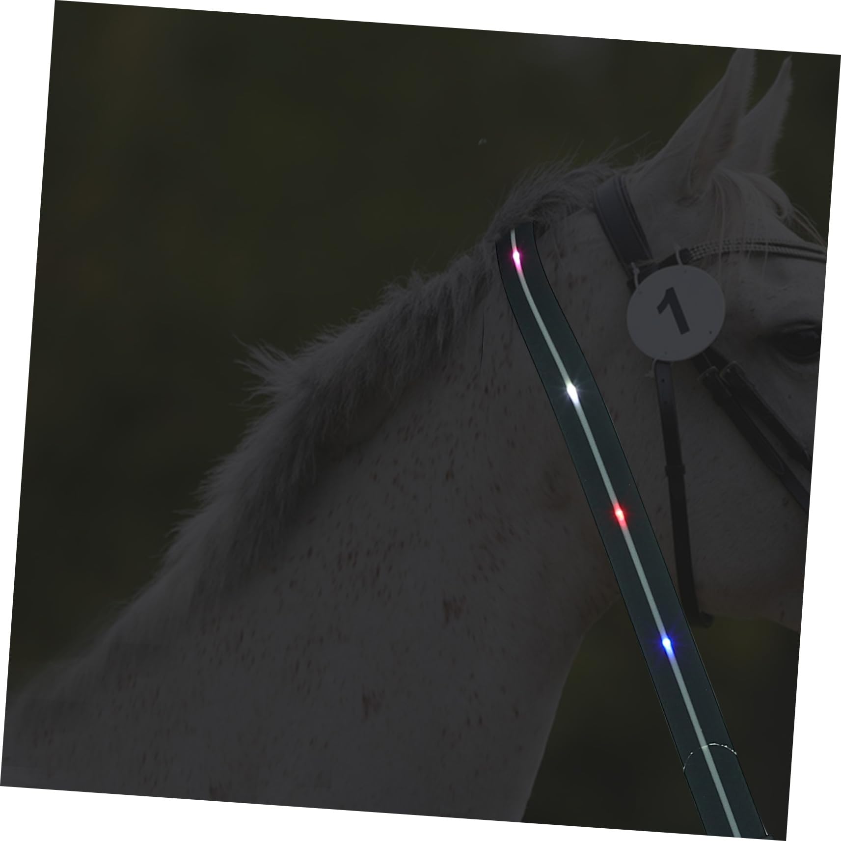 Correa Luminosa LED para Caballo, Pechera de Adiestramiento Negra | Pu y Nylon, Carcasa Abs Smd y Aleación de Aluminio, Ligera y Fiable, para Afición Ecuestre Estilo Aleatorio