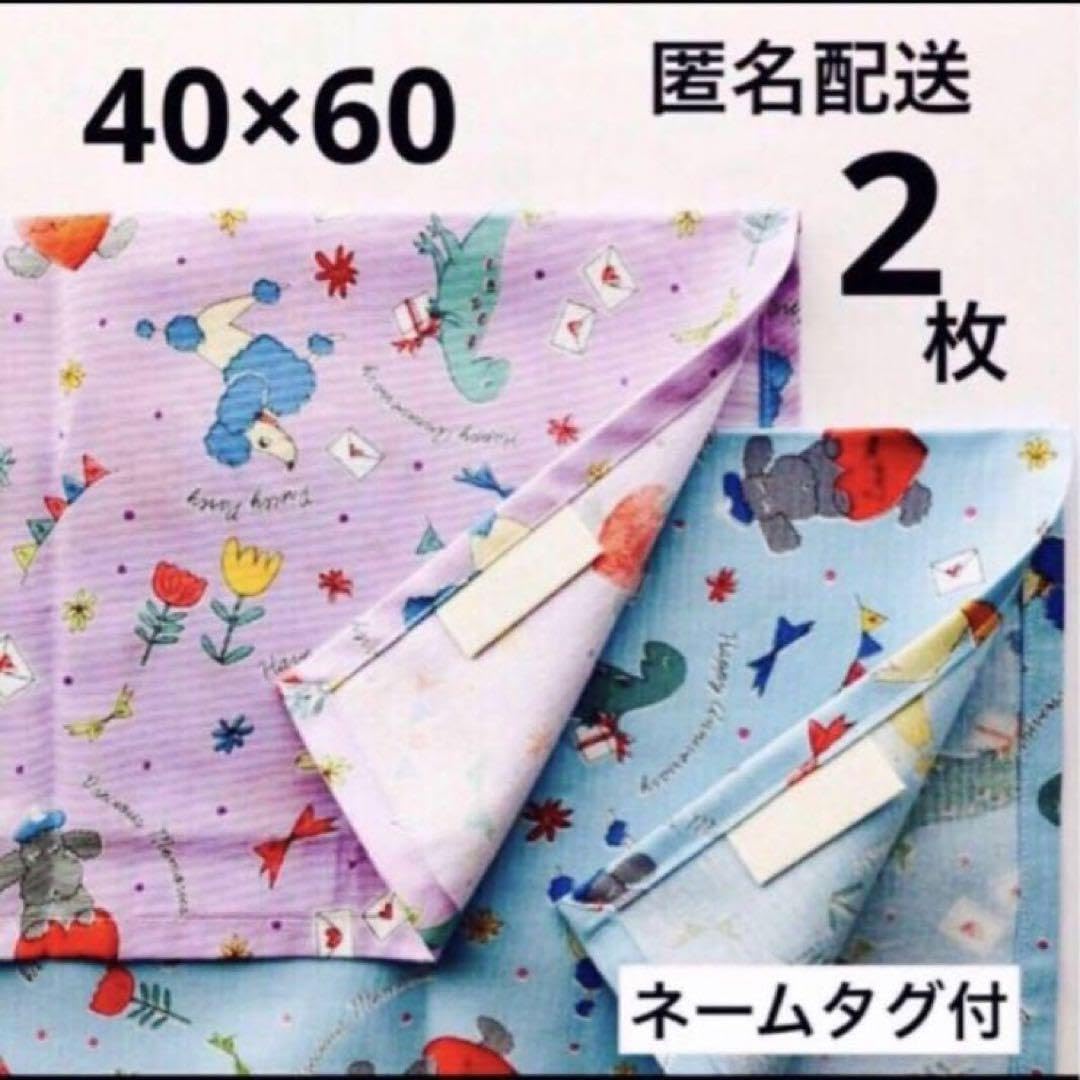 Amazon.co.jp: ランチョンマット 40×60 小学生 女の子 給食 ナフキン