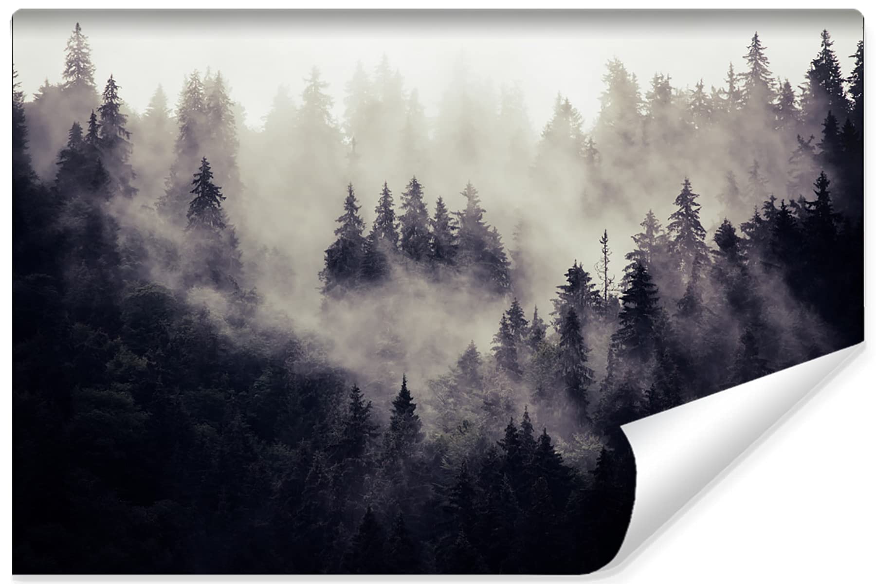 Muralo Samoprzylepna fototapeta z efektem 3D, fototapeta na ścianę, iluzja optyczna, natura, las, salon, sypialnia, nowoczesne obrazy ścienne, dekoracja ścienna XXL, wymiary 400 cm x wysokość 280 cm