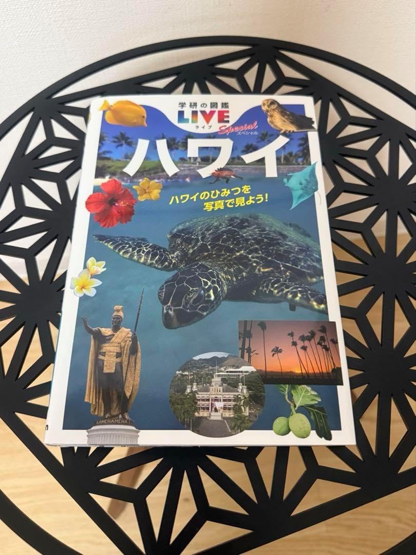 ハワイのひみつ まんがでよくわかるシリーズ特別編