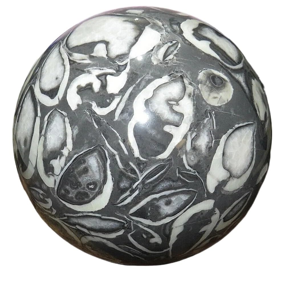 AARTERZZA 1pc 310-400g Shell Stone Spheres Gemstones Spiritual Home and Office Decorations