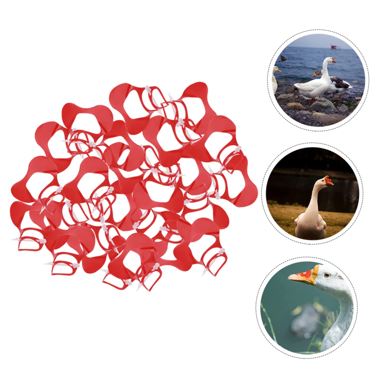 Laminoir A Pate Lunettes Anti-Picage Pour Poules OHYER - Lot De 50 | Prévention Cannibalisme Volaille - Sans Boulon Prévention Picage Poules