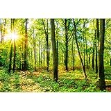 kleistergerät hagebaumarkt Das Fotomotiv gibt es in über 10 Größen. Wählen Sie Ihre gewünschte Größe aus.