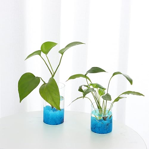 Miniatura 6 de Kaiyuan Dynasty 300 piedras luminosas azules que brillan en la oscuridad para jardín, macetas, paisajismo, camino, relleno de jarrón, patio