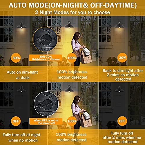 Dusk to Dawn Motion Activated Sensor Gooseneck Outdoor Wall Light Fixture, Industrial Outdoor