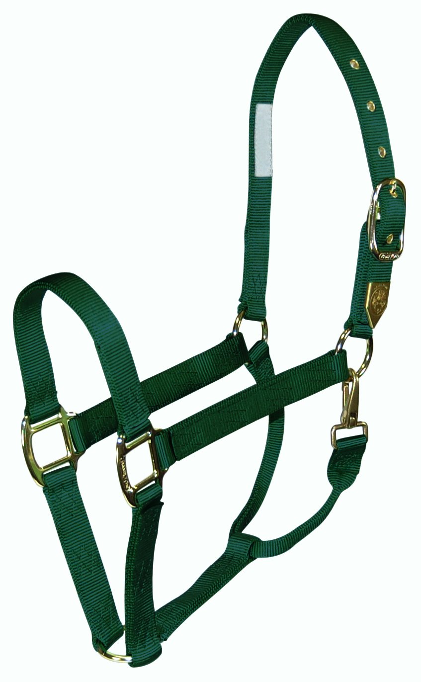 Licol de cheval en nylon Hamilton vert foncé pour éviter les frottements de peau