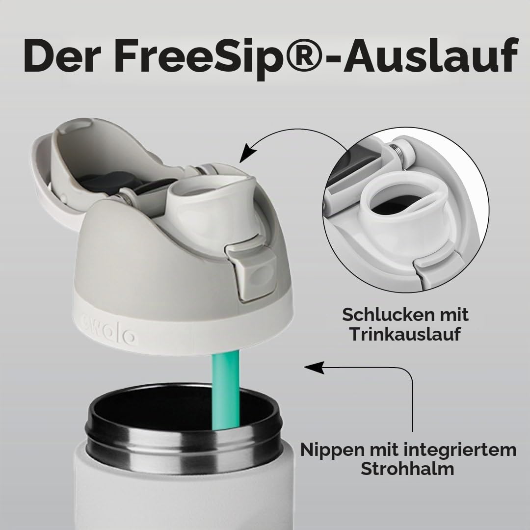 Owala FreeSip Isolierte Edelstahl-Wasserflasche mit Strohhalm für Sport und Reisen, BPA-frei, 680 ml, Grau/Grün (Neo Sage)