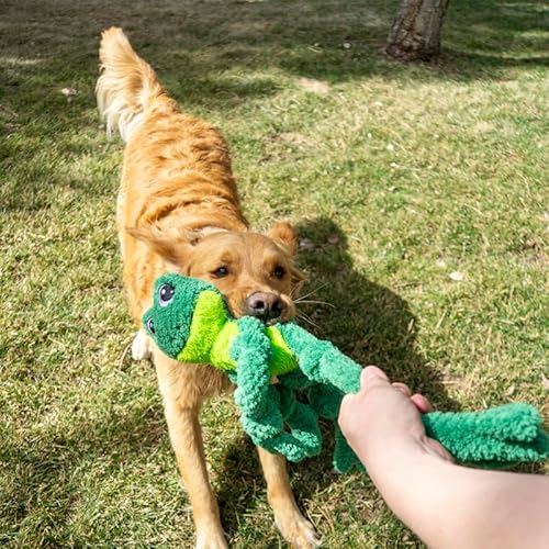 KONG Sapo de nó com esqueleto de corda interna