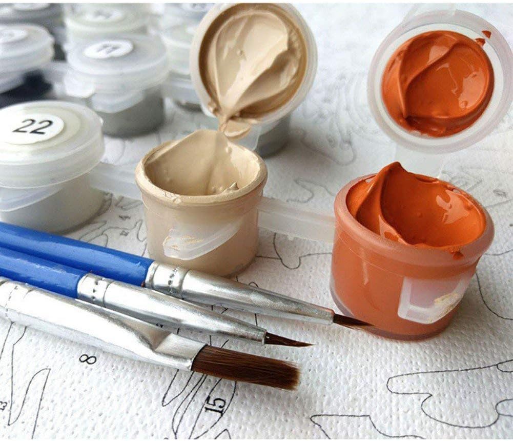 Diy Oil Painting Paint by Number Kit, Paint by Numbers Drawing with Brushes Paint, Suitable for All Skill Levels 16X20,Seaside At Night