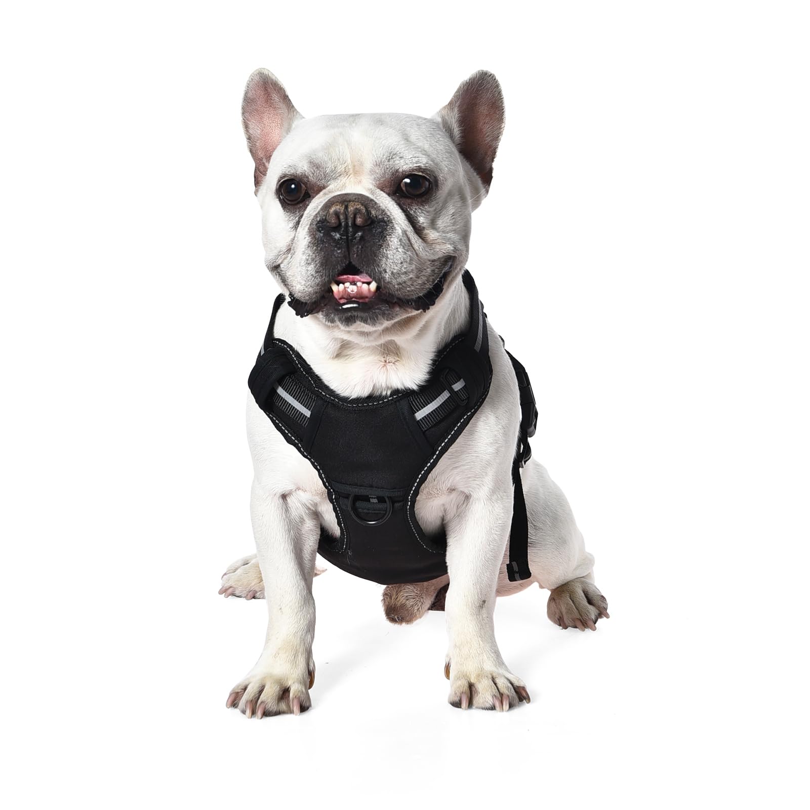 Amazon Basics Pettorina a gilet per cani regolabile, anti-trazione, con clip anteriore, Grande, nera